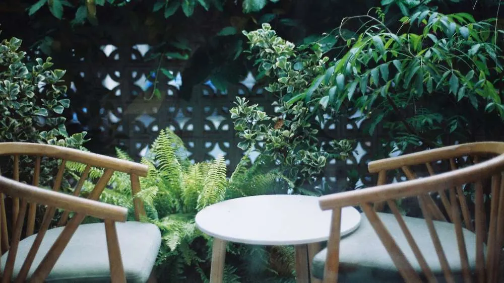 Two wooden balcony chairs and a small white table surrounded by ferns and green plants