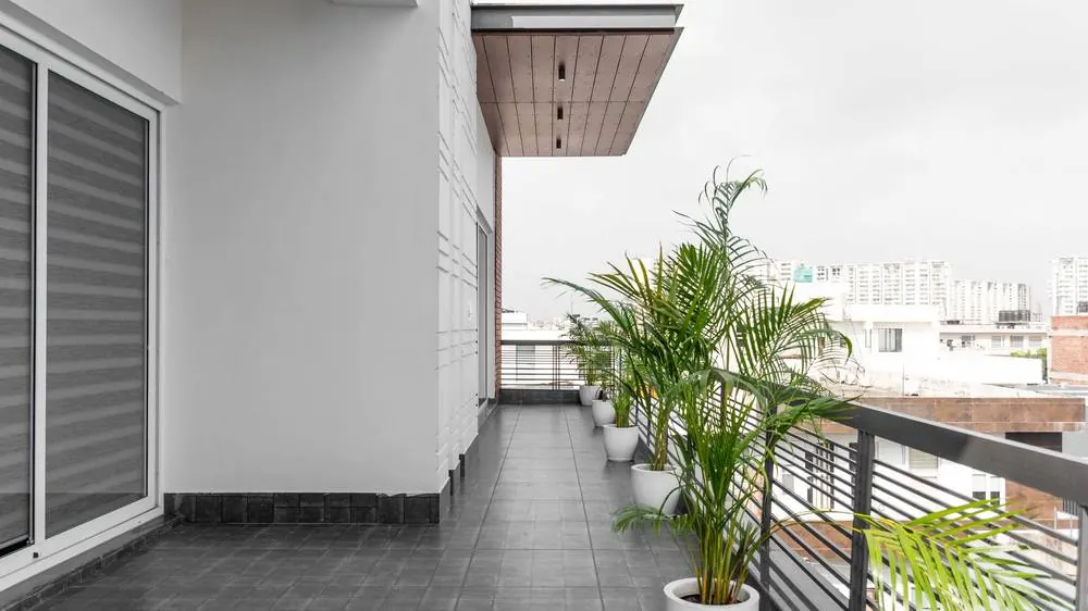 Long apartment balcony with tall potted palms along the railing and an anti-skid tile floor