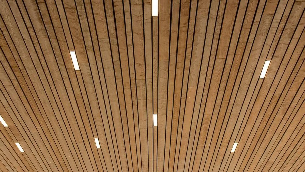 Wooden slat ceiling panels with gaps for linear light above a seating area