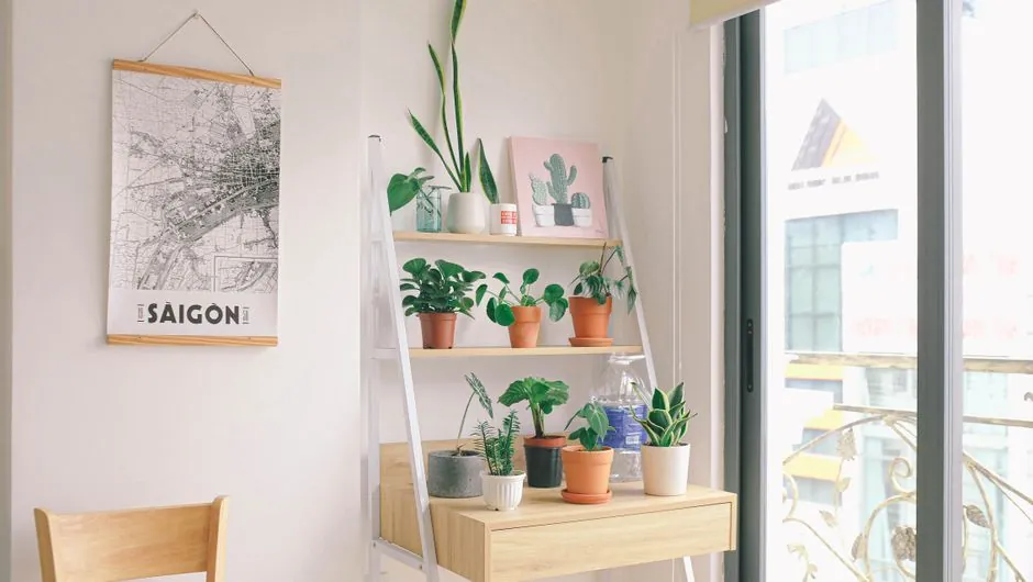 Indoor plants and decor styled on an apartment shelf